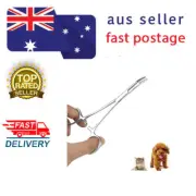 STAINLESS STEEL DOG CAT EAR HAIR TWEEZERS Curved Tip Pet Grooming Scissors