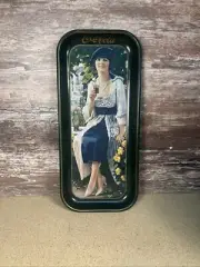 Vintage Coca-Cola Lady Serving Metal Tray Gibson Drink Coke 8.5" X 19" 1973
