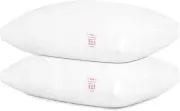 2-PK Super Soft Bed Pillows for Sleeping - Down Alternative Microfiber (QUEEN) B