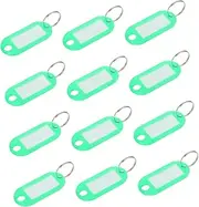 Veemoon 30pcs Green Keychain Id Tags Hotel Labels Easy Use Classification Tags for Keys Name Markers Insertable Labels