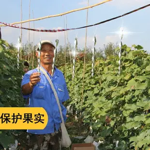 驅鳥神器用陽臺彩帶棒嚇防驚趕果園戶外反光用陽臺驅鳥器