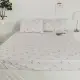 【絲薇諾】MIT精梳棉 植物花卉 二件式枕套床包組 安妮-紫(單人加大)