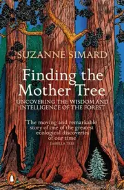 Finding the Mother Tree: Uncovering the Wisdom and Intelligence of the Forest by