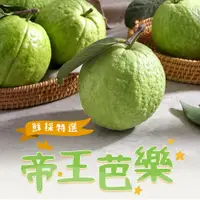 在飛比找蝦皮商城優惠-【享吃美味】溪州帝王芭樂 (5台斤±10%/箱) 免運組