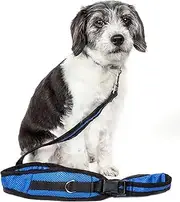 PET LIFE 'Echelon' Hands Free and Convertible 2-in-1 Training Pet Dog Leash and Pet Belt Trainer, One Size, Blue