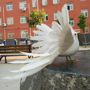 好品質仿真羽毛小鳥家居擺件園林裝飾彩色鳳凰泡沫假鳥動物模型拍攝道具