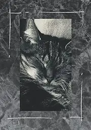 Kitty Bullet Journal