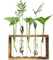 Vumdua Plant Propagation Stations, Wall Hanging Plant Terrariums with 5 Glass Tubes for Propagating Hydroponic Plants, Home Office Garden Wedding Decoration