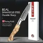 Paring Knife 67 Layers Damascus Super Steel Wood Handle Chef Slicing Fruit Chop