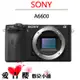 SONY A6600 ILCE-6600 相機 單機身 公司貨 全新 免運 索尼 微單 不含鏡頭