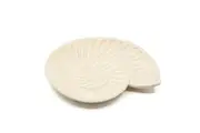 Rayell Harp Shell Trinket Tray Beige Home Decor Storage Container MDF 23x20x2cm