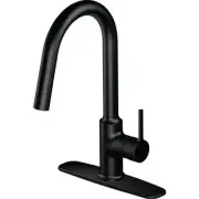 Home Impressions Contemporary Builder 1-Handle Lever Pull-Down Kitchen Faucet,