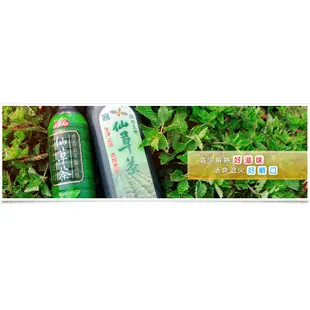 【養生飲品】關西仙草茶【600ml/瓶】新竹縣-關西鎮農會