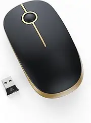 Silent Wireless Mouse, 2.4G Slim Travel Mouse with USB Receiver, Quiet Click Protable Computer Mice for Laptop PC Mac, Comfortable Texture, Black & Gold