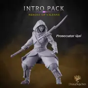 PROSECUTOR QAI ASSASSIN CHARACTER - D&D RPG Kings of War Proxy LAIR