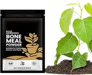 Root Powder for Plants | Rooting | Plant Propagation | Stimulates Root Growth, Easy to Use, Ideal for Cuttings, Enhances Plant Health