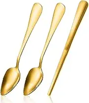 Grapefruit Spoon Serrated Edge Grapefruit Knife Stainless Steel Grapefruit Utensil Tool Dessert Spoons for Citrus Lemon Kiwi Salads Melon Lime Pitaya Apple Fruit Puree
