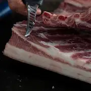 Organic Feather and Bone Pork Belly Pastured – Fresh, healthy organic delivery | Doorstep Organics.