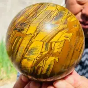 5.16lb Large Natural Gold Tiger's Eye Stone Quartz Crystal Sphere Specimen Reiki