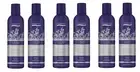6x Natural Look ATV Ice Blonde Silver Screen Shampoo 250ml