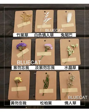 乾燥花牛皮紙手工許願卡 禮物留言卡 吊牌【BlueCat】【JC3153】