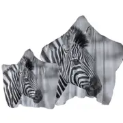 Black and White Zebra Photo Towel with Hood