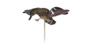 Avian X Power Flight Green Wing Teal Motion Duck Decoy - AVXPFLHT