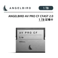 在飛比找Yahoo!奇摩拍賣優惠-EC數位 Angelbird AV Pro CF CFAST