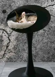 Cat Bed - Cave Pod - Luxurious Memory Foam Kitten Bed - Elevated Designer Stand