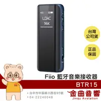 在飛比找有閑購物優惠-FiiO BTR15 藍色 旗艦 Hi-Fi 雙輸出 USB