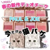 在飛比找Yahoo!奇摩拍賣優惠-現貨！日本 Paul&joe 2022限定毛絨貓咪眼影腮紅盒