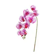 1 Pcs 38 Inch Artificial Orchid Stems Phalaenopsis Flowers Purple
