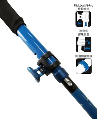 Black Diamond Distance Carbon FLZ 登山杖 超藍 112537【野外營】折疊 登山 健行