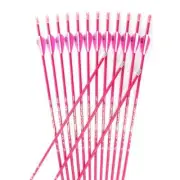 Pinals Archery Spine 400-1000 Carbon Arrows Shafts ID4.2mm Point for Recurve Bow