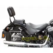 Backrest Sissy BAR for Harley Davidson Softail Slim (12-17)
