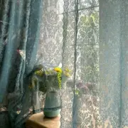 Lace Curtains Rod Pockets for Bedroom Balcony Voile Tulle Door Curtain Panel