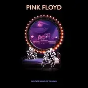 Delicate Sound Of Thunder (3Lp)
