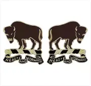 GENUINE U.S. ARMY CREST: 10TH CAVALRY REGIMENT - READY AND FORWARD
