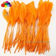 Premium Good Quality Orange Dyed Soft Stripped Goose Tail Feathers Wedding
