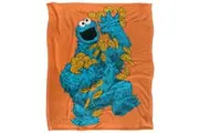 Sesame Street Painted Cookie Monster Blanket (Multicoloured) (One Size)