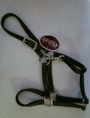 Halter,Pony olive green,large pony,foal Hillside