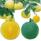 Fly Ball Traps Insects Fruit Flies Trap Reusable Hanging Fly Trap Fruit E4 Y1U2