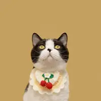 在飛比找樂天市場購物網優惠-『台灣x現貨秒出』毛線針織櫻桃寵物裝飾圍兜兜貓狗飾品領巾寵物