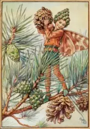 The Pine Tree Fairy : Cicely Mary Barker : Art Print for Framing