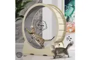Wood Cat Wheel Exercise Treadmill Dog Running Exerciser Gym Puppy Walking Indoor Kitty Spinning Workout Training Equipment