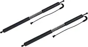 51247298983 L 51247298984 R Power Liftgate Electric Tailgate Strut ，Compatible With BMW 3 Series GT F34 Auto Parts(Silver)