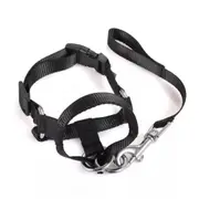 Large Strap Leader Training Tool Harness Dog Training Head Collar Halter