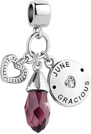 [TCHYUN] Heart Love Birthday Birthstone Charms for Pandora Bracelets Dangle Teardrop Inspritional Birth Month Charm Beads for Women Girls, Copper, No Gemstone