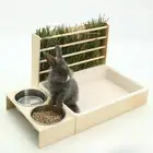 Rabbit Hay Feeder Rabbit Feeder Toilet Food Dispenser with Box Cage Accessories