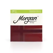 Morgan AM11 11-52 Acoustic Guitar Strings One Set